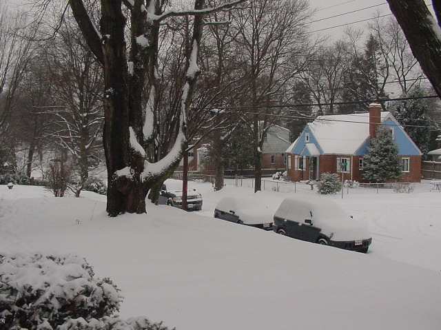 First_Snow_Winter_2002